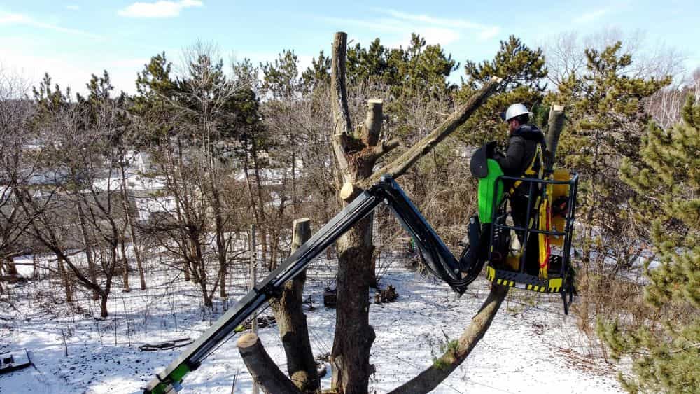 Hero image for Scheidler Land Services